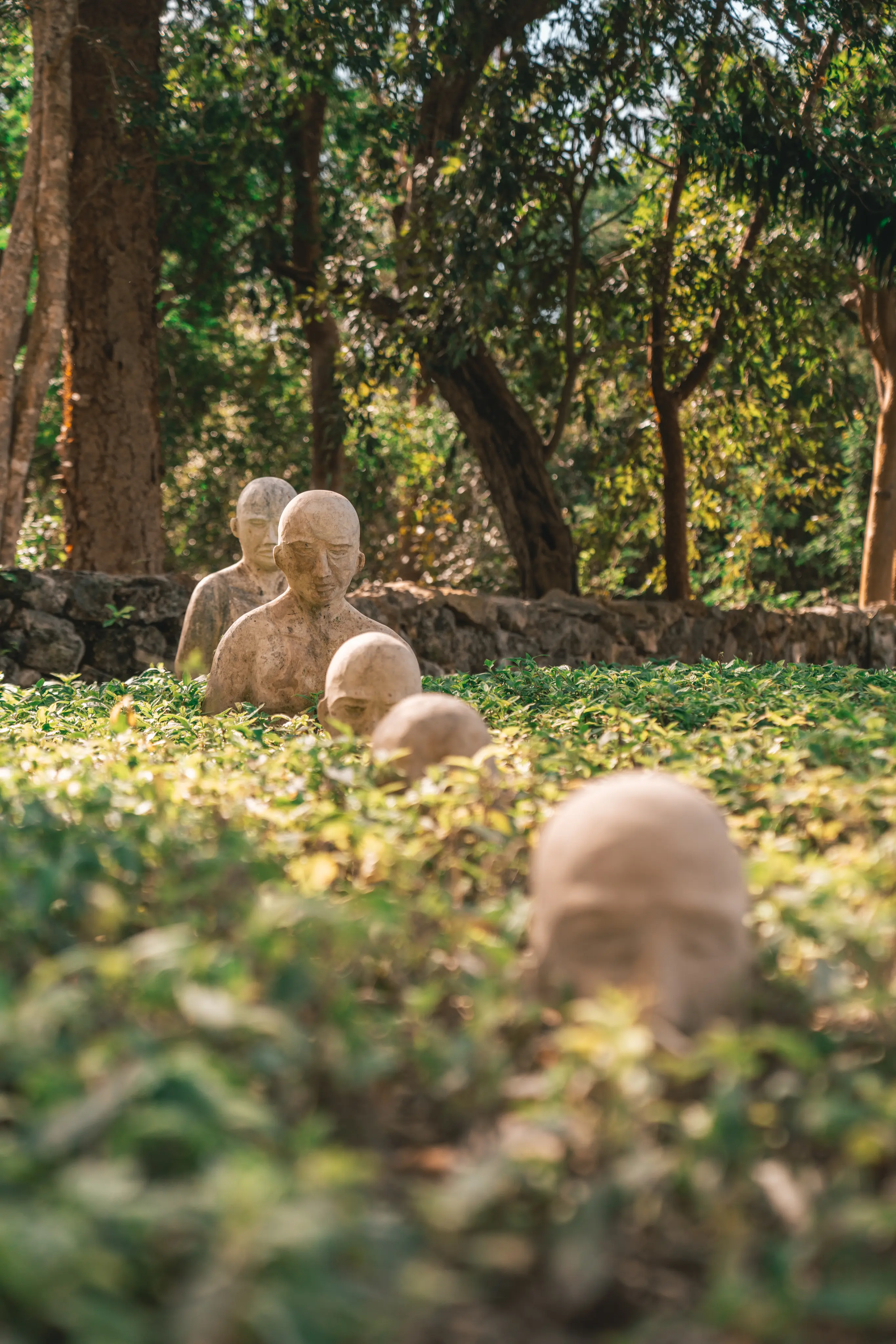 Comunidad en Chablé Yucatán
