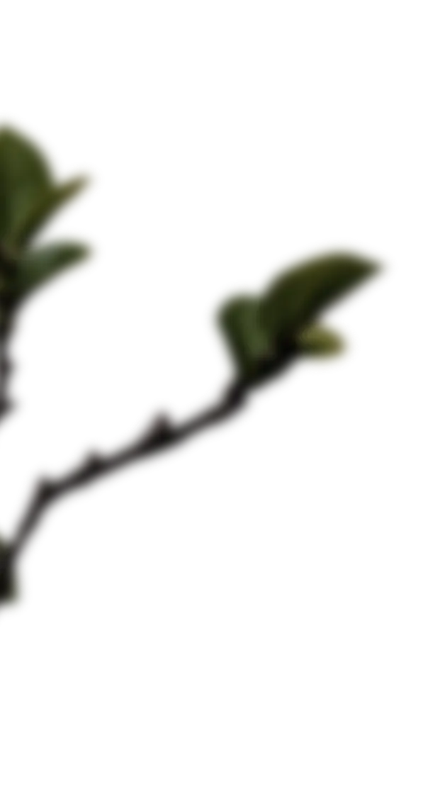 Detalle arquitectónico