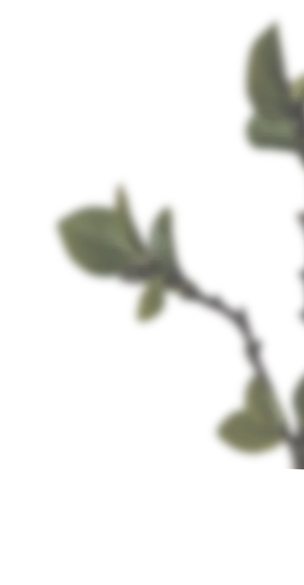 Interior de residencia